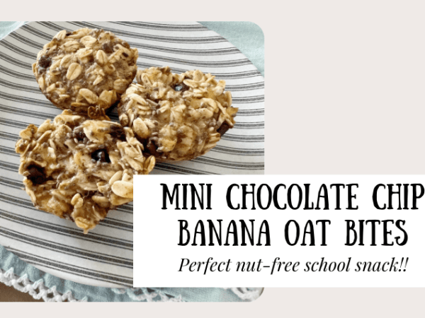 Mini Chocolate Chip Banana Oat&nbsp;Bites
