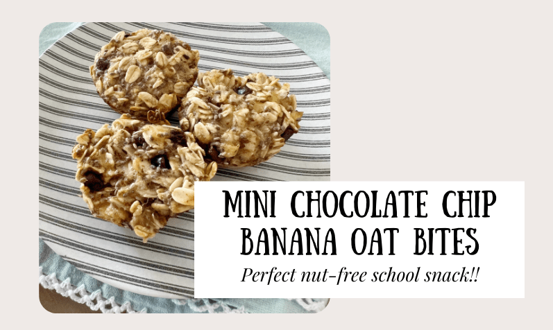 Mini Chocolate Chip Banana Oat&nbsp;Bites